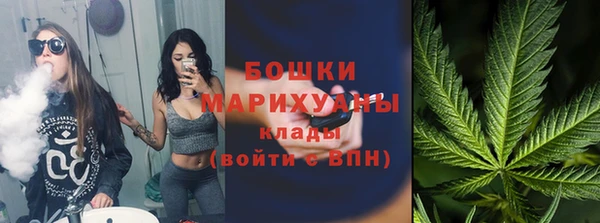 ПСИЛОЦИБИНОВЫЕ ГРИБЫ Кулебаки