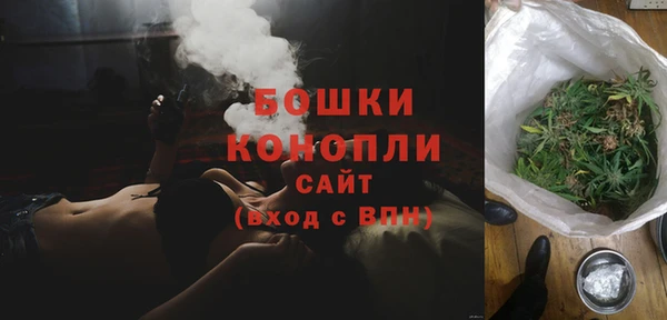 крисы Лагань