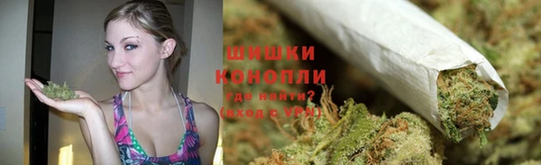крисы Лагань