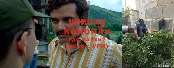 ПСИЛОЦИБИНОВЫЕ ГРИБЫ Кулебаки