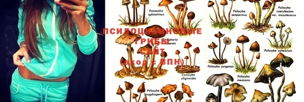 mdma Богданович